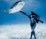 requin Une femme danse avec des requins-tigres