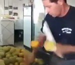 ninja Fruit Ninja IRL avec des citrons