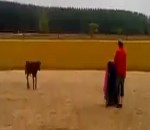 torero taureau L'apprentissage de la tauromachie