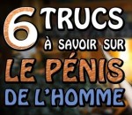 erection penis 6 trucs à savoir sur le pénis de l'Homme