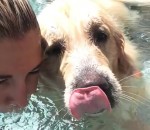 piscine Un chien fait des bulles