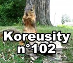 koreusity insolite aout Koreusity n°102