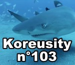 koreusity 2014 Koreusity n°103