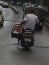 bebe homme Transporter bébé en scooter