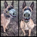 chien dent Muselière aux grandes dents
