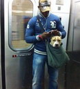 sac chien Un pitbull dans un sac dans le métro