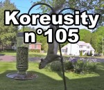 insolite septembre Koreusity n°105