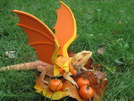 dragon Pogona Dragon pour Halloween