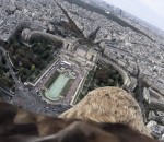 pov vol Paris vu du ciel depuis un aigle (FREEDOM)