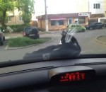 chat Un chat se réveille sur le capot d'une voiture en mouvement
