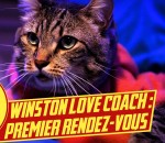 amour chat Winston love coach : le premier rendez-vous
