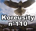 koreusity fail octobre Koreusity n°110