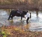 cheval Ce cheval avait peur de l'eau