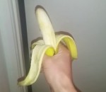 wtf fesses Un homme donne une banane à un singe