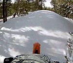 motocross Un motard a une surprise dans un bois