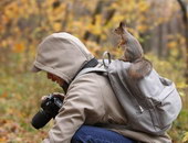 photographe Où est passé l'écureil ?