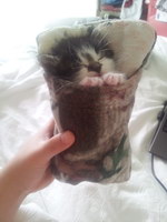 couchage Un sac de couchage pour chaton