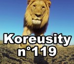 koreusity insolite decembre Koreusity n°119
