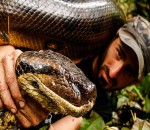 serpent manger eaten Paul Rosolie n'a pas réussi à être mangé vivant par un anaconda