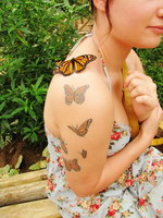 bras tatouage Un bras rempli de papillon