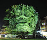 3d Projection 3D sur des arbres