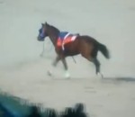 course cheval Un cheval avec des oeillères panique