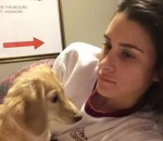 cri chien Comment faire taire une femme (méthode chien)