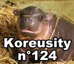 koreusity 2015 zapping Koreusity n°124