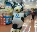 vache La danse énergique d'une mascotte vache