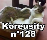 koreusity Koreusity n°128