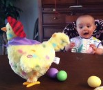 jouet peluche Un bébé surpris par une poule en peluche qui pond des oeufs