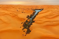 desert sable Une oasis
