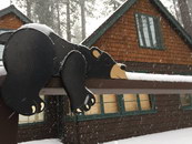 neige toit enseigne Un ours sniffe de la coke