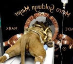 scanner lion L'envers du décor du logo Metro-Goldwyn-Mayer