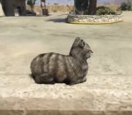 peur chat jeu-video Faire peur à un chat dans GTA V