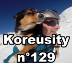 koreusity 2015 insolite Koreusity n°129