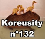 koreusity 2015 fail Koreusity n°132