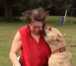 visage chien Un pitbull attaque une femme pendant un Ice Bucket Challenge