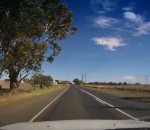 route Traversée d'animaux en Australie