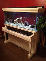 piano Piano aquarium
