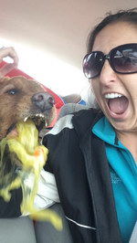 vomi selfie Selfie avec son chien au mauvais moment