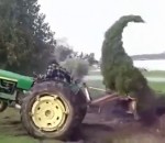deraciner arbre Arbre vs Homme sur un tracteur