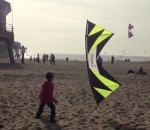 plage Un cerf-volant s'amuse avec un enfant