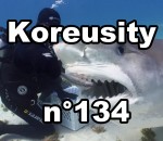 koreusity 2015 fail Koreusity n°134