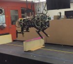 courir saut MIT Cheetah, un robot capable de sauter