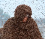 manteau homme Un Chinois recouvert d'un million d'abeilles