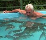 piscine bain piranhas Prendre un bain avec des piranhas (River Monsters)