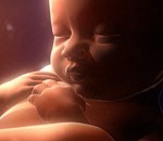 ventre bebe 9 mois de la vie d'un foetus résumé en 4 minutes