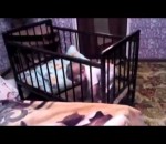 lit Un enfant s'échappe de son lit à barreaux