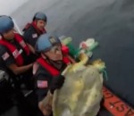 mer tortue Des gardes-côtes libèrent deux tortues d'un filet de pêche